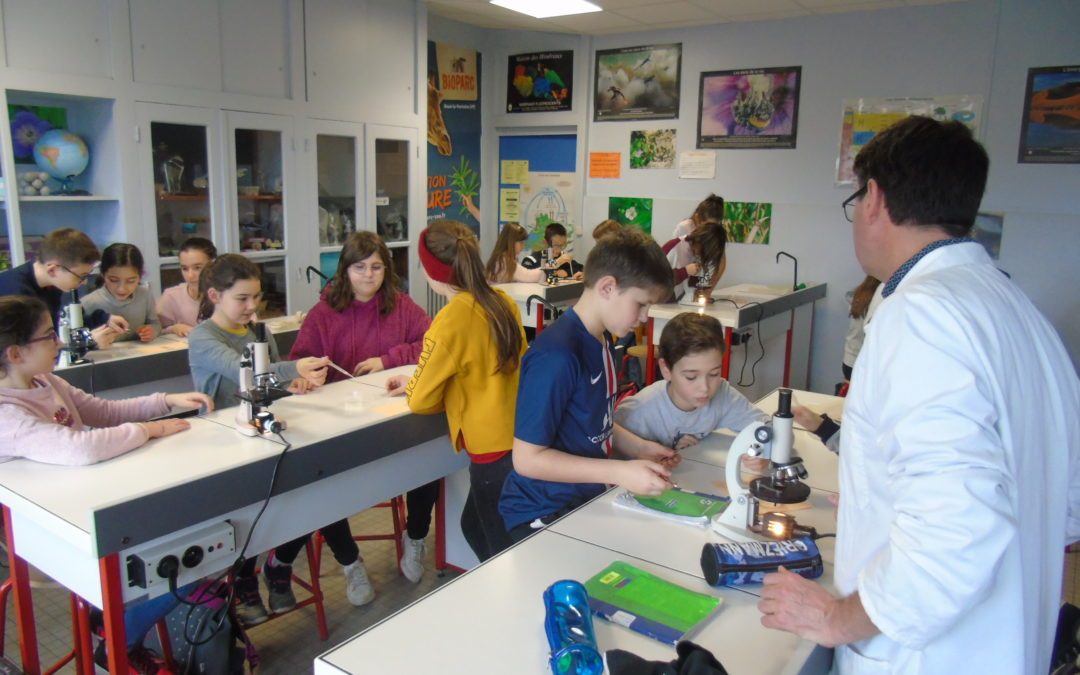 Une belle journée de Mini 6ème au collège St Paul