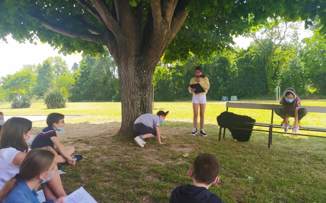 Le cours de Français s’exporte au jardin ! 